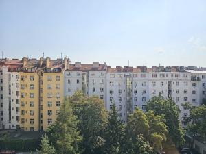 Pronájem bytu 2+kk, Praha - Žižkov, Hartigova, 41 m2