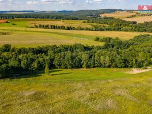 Prodej trvalého travního porostu, Albrechtice nad Vltavou - Hladná, 6183 m2