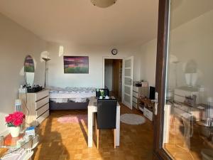 Pronájem bytu 1+kk, Liberec, Sosnová, 29 m2