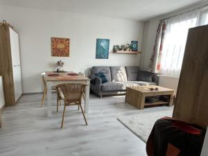 Pronájem bytu 2+kk, Opočno, Severní, 30 m2