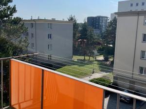 Prodej bytu 2+1, Praha - Žižkov, Buková, 52 m2