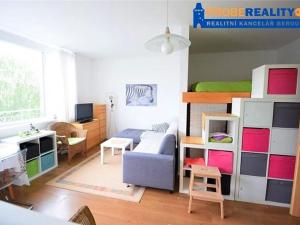 Pronájem bytu 1+kk, Beroun, V Zahradách, 32 m2