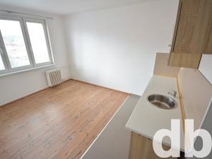 Pronájem bytu 1+kk, Nové Sedlo, Sadová, 20 m2