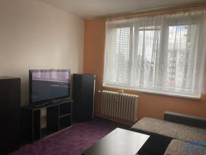 Pronájem bytu 1+kk, Horní Slavkov, U Lesoparku, 22 m2