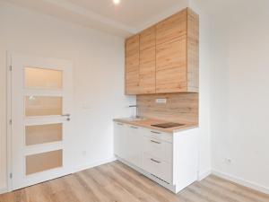 Pronájem bytu 1+kk, Praha - Michle, Hanusova, 26 m2