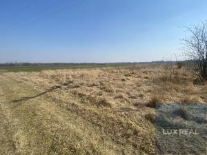 Prodej pozemku pro komerční výstavbu, Pohořelice, 7431 m2