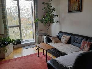 Pronájem bytu 3+kk, Praha - Suchdol, Suchdolské náměstí, 99 m2