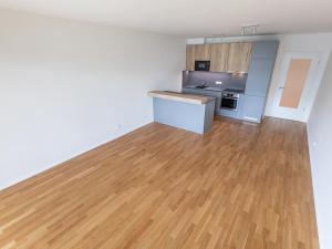 Prodej bytu 3+kk, Praha - Žižkov, Seifertova, 72 m2