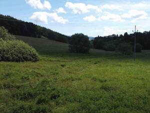 Dražba trvalého travního porostu, Hartmanice, 5270 m2