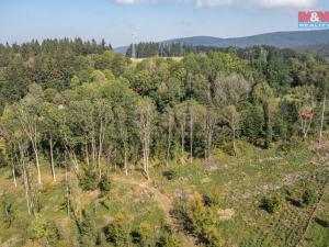 Prodej rodinného domu, Klenčí pod Čerchovem - Jindřichova Hora, 110 m2