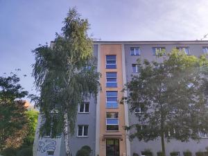 Prodej bytu 1+kk, Praha - Strašnice, V úžlabině, 35 m2