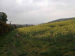 Dražba louky, Zlín, 6725 m2