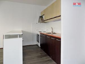 Pronájem bytu 1+kk, Ústí nad Labem - Krásné Březno, Obvodová, 32 m2