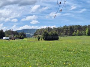 Prodej louky, Zdíkov - Masákova Lhota, 5959 m2