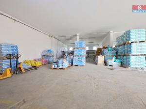 Prodej obchodního prostoru, Zbraslavice, 1381 m2
