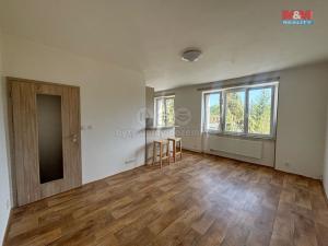 Pronájem bytu 2+kk, Louny, Přemyslovců, 52 m2