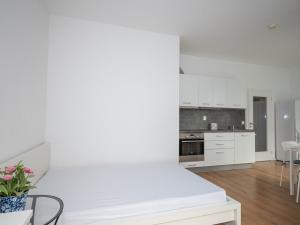 Pronájem bytu 1+kk, Praha - Hlubočepy, Silurská, 42 m2