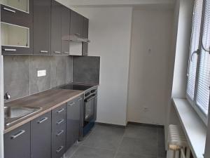 Pronájem bytu 2+kk, Kladno, Na vyhaslém, 58 m2