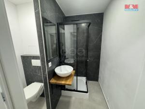 Pronájem bytu 1+kk, Karviná, tř. 17. listopadu, 31 m2