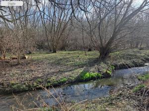 Prodej pozemku, Brandýsek, 2107 m2