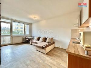 Pronájem bytu 1+kk, Děčín - Děčín III-Staré Město, Oblouková, 28 m2