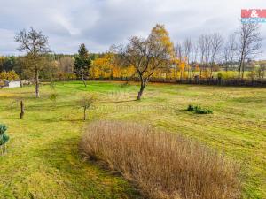 Prodej zemědělské usedlosti, Příbram - Lazec, 81 m2