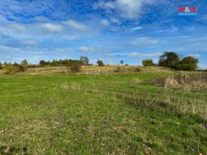 Prodej pozemku pro bydlení, Třebsko, 1000 m2