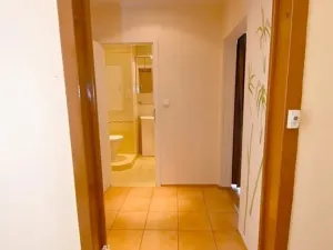 Pronájem bytu 1+kk, Praha - Chodov, Valentova, 30 m2