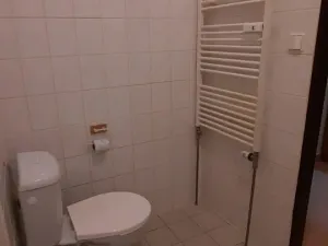 Pronájem bytu 1+kk, Dobřany, Loudů, 31 m2