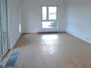 Pronájem bytu 1+kk, Liberec, U Nisy, 54 m2