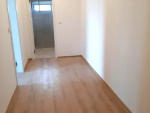 Pronájem bytu 1+kk, Liberec, U Nisy, 54 m2