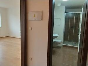 Prodej bytu 1+kk, Beroun, Nepilova, 32 m2