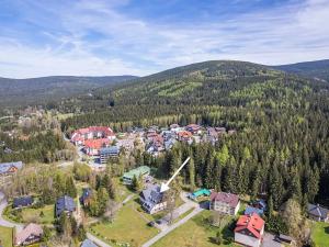 Prodej bytu 1+1, Harrachov, 37 m2