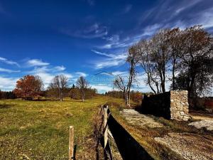 Prodej louky, Volary, 1910 m2