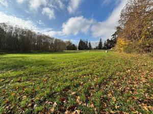 Prodej louky, Janovice nad Úhlavou, 11416 m2