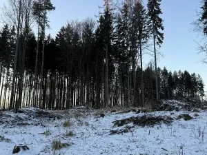 Prodej podílu lesa, Smilovy Hory, 1876 m2