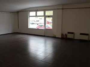 Pronájem obchodního prostoru, Prostějov, Wolkerova, 210 m2