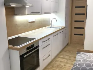 Pronájem bytu 1+kk, Zlín, Zadní luhy, 36 m2