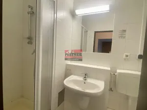 Pronájem bytu 1+kk, Lštění, Míru, 20 m2