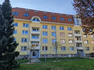 Prodej bytu 4+kk, Brno, Pavlovská, 142 m2