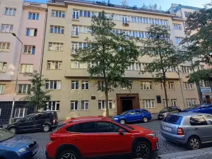 Prodej bytu 2+1, Praha - Žižkov, Baranova, 93 m2