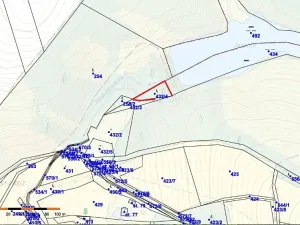 Prodej lesa, Mladé Bříště, 21901 m2