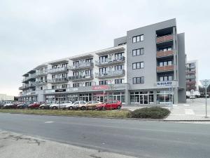 Pronájem bytu 1+kk, Olomouc, Čajkovského, 33 m2