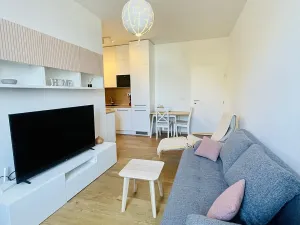 Pronájem bytu 2+kk, Brno, Stavební, 41 m2