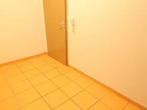 Pronájem bytu 2+kk, Šestajovice, Komenského, 41 m2