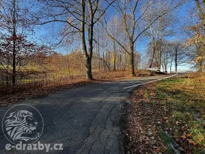 Prodej louky, Pulečný, 1039 m2