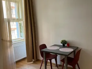 Pronájem bytu 1+1, Praha - Dejvice, Studentská, 30 m2