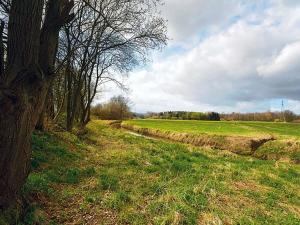 Pronájem pozemku pro bydlení, Zbuzany, Na Návsi, 10000 m2