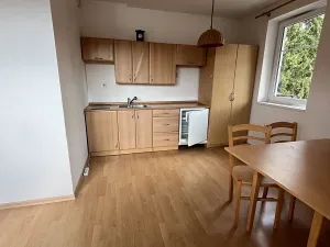 Pronájem bytu 1+kk, Harrachov, 40 m2