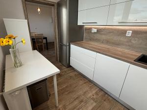 Pronájem bytu 3+1, Frýdek-Místek, Frýdlantská, 80 m2